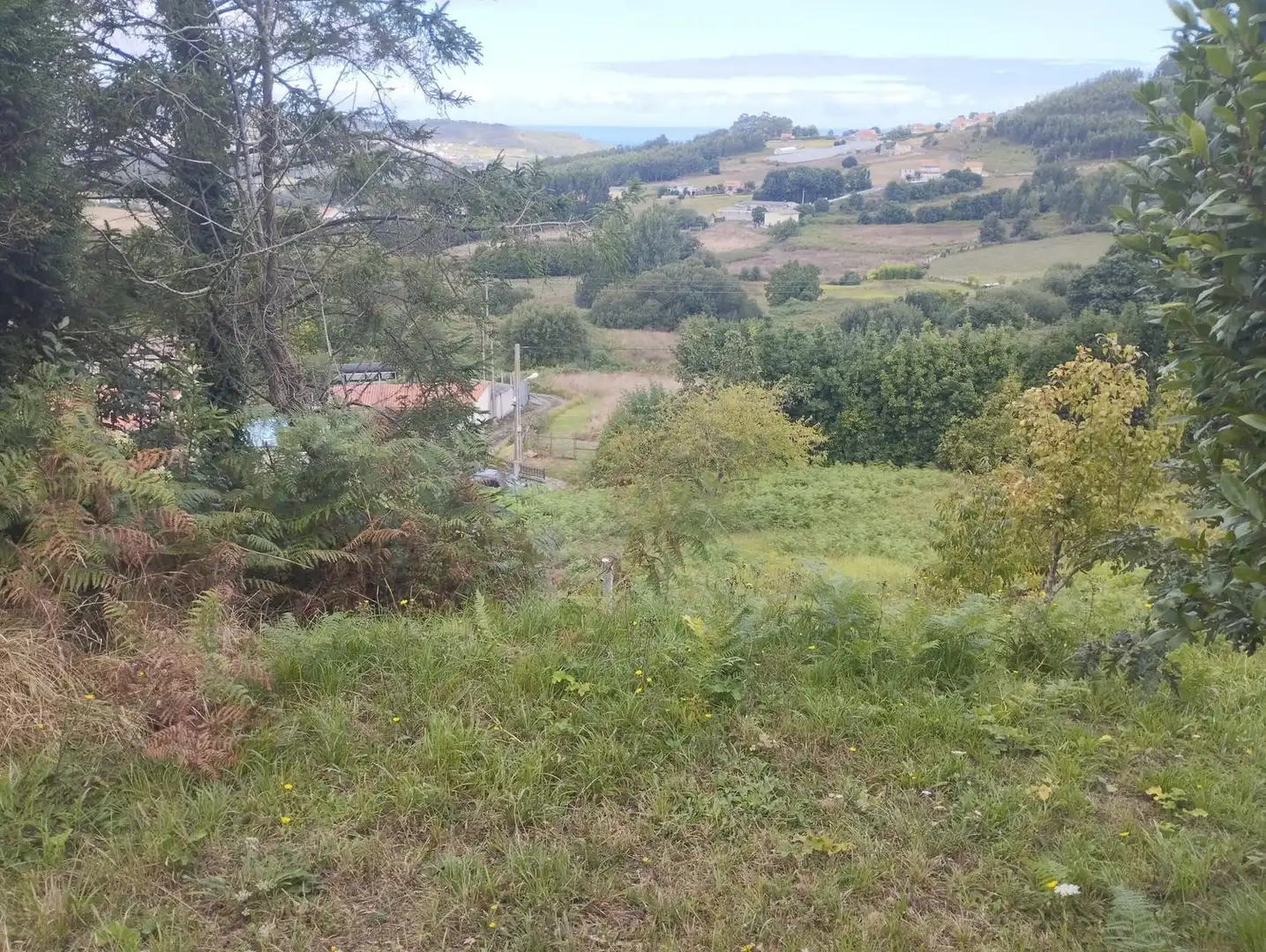 Terrain rustique à vendre à Camino Lugar