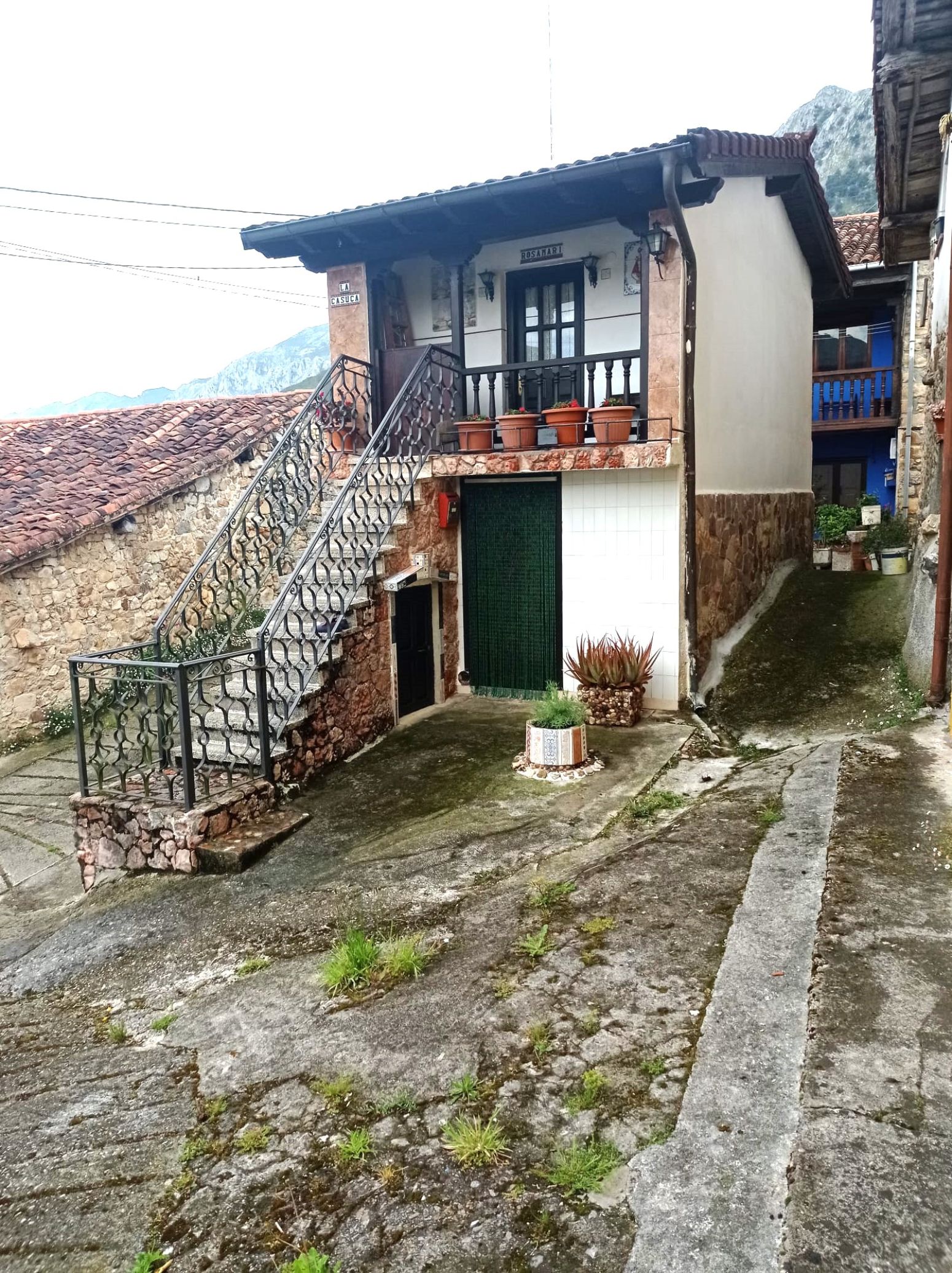 Vista exterior de Casa o xalet en venda en Peñamellera Alta amb Parquet