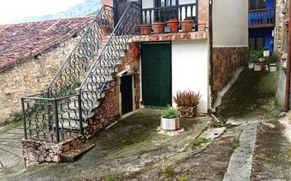 Exterior view of House or chalet for sale in Peñamellera Alta  with Parquet flooring