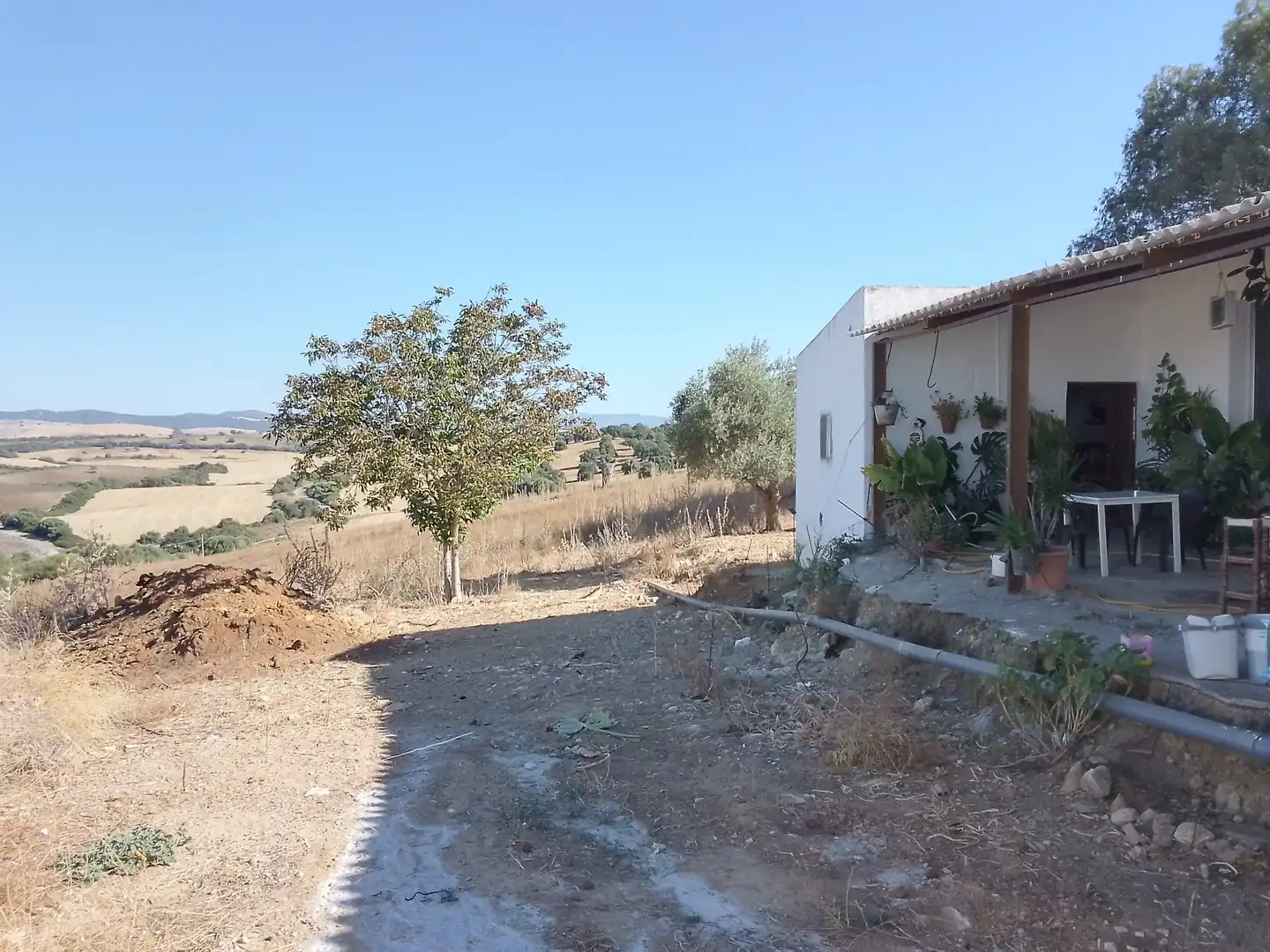 Terreni e lotti in vendita a Arcos de la Frontera, imagen 14