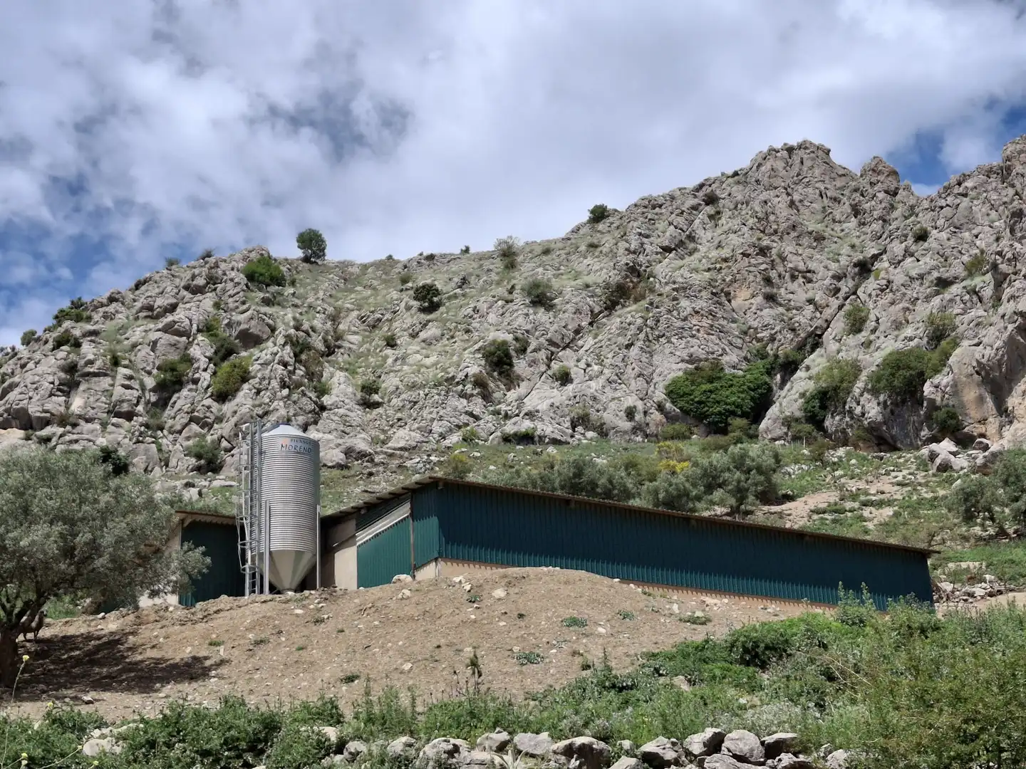 Terreni e lotti in vendita a Alfarnatejo, imagen 5