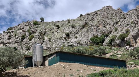 Foto 5 de Terreno en venta en Alfarnatejo, Málaga