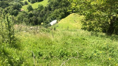 Foto 5 de Finca rústica en venta en Barrio Mortesante, 17, Miera, Cantabria