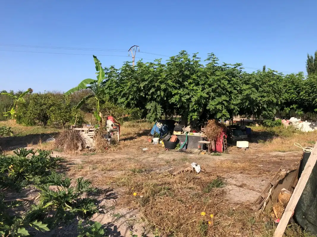 Terreno en venta en Gandia