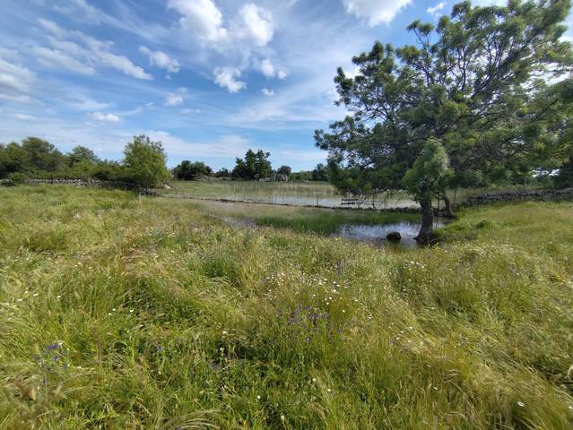 Terreno industrial en Venta en Zarzalejo