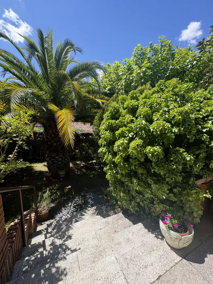 Garden of Detached homes for sale in Las Rozas de Madrid  with Heating, Private garden and Terrace