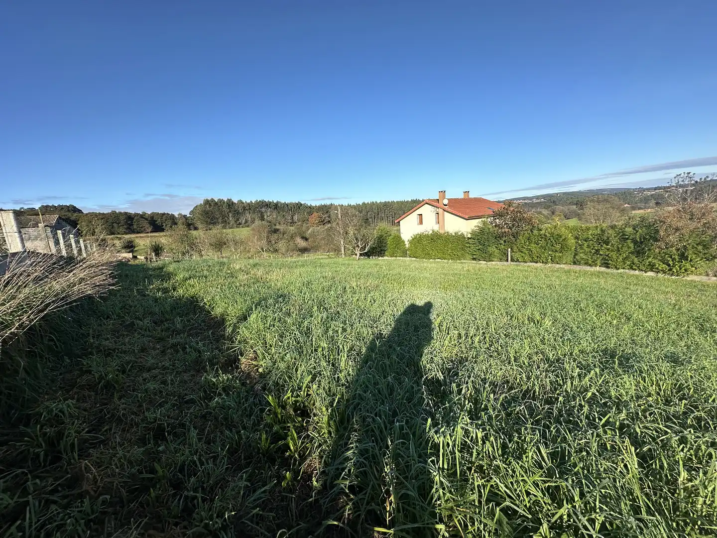 Terreni e lotti in vendita a Lugar Currais, imagen 6