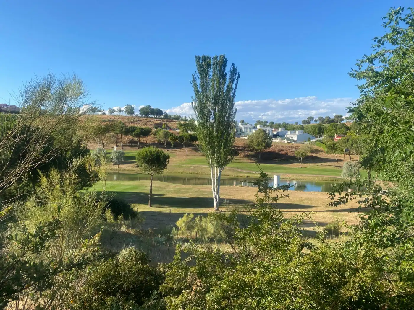 Terreny residencial en venda a Cabanillas del Campo, imagen 2
