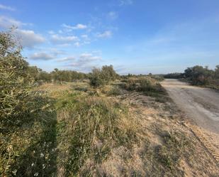 Land for sale in Granyena de les Garrigues