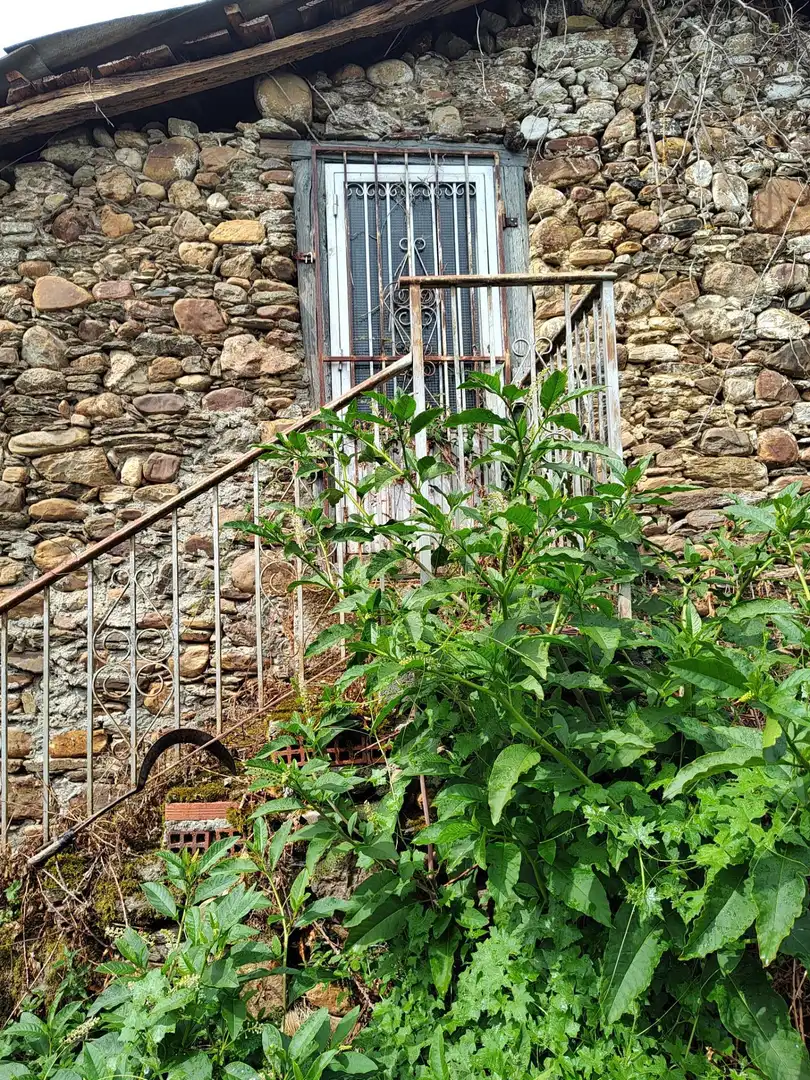 Jardí de Finca rústica en venda en Monforte de Lemos