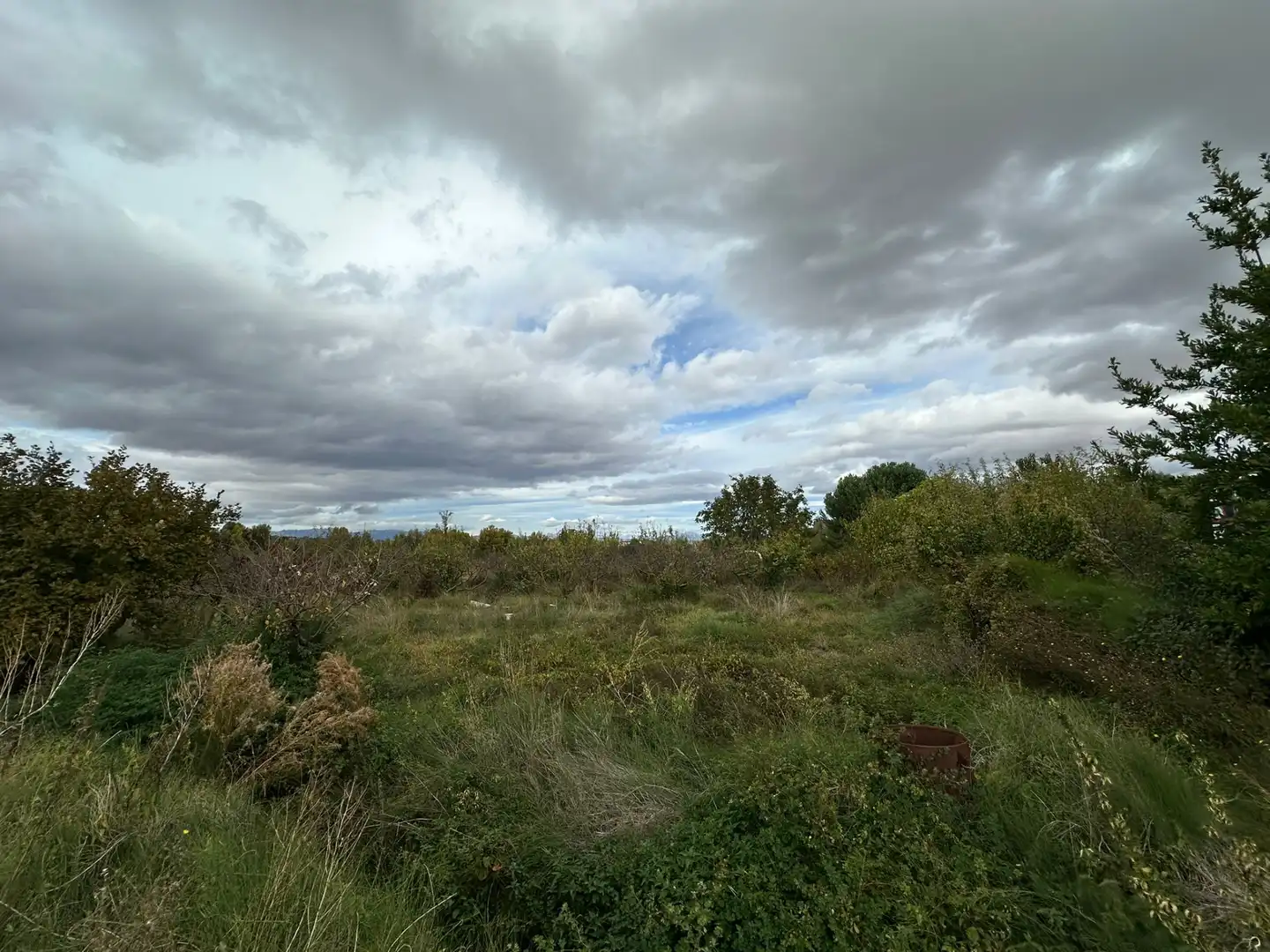 Terreno rústico en venta en Albelda de Iregua, imagen 5