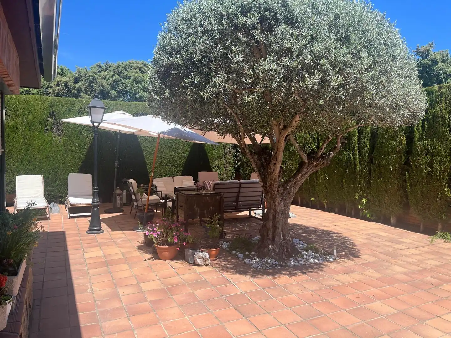 Terrace of Detached homes for rent in La Navata