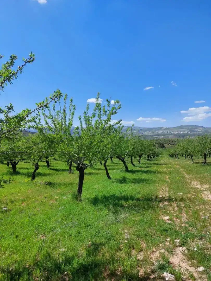 Finca rústica en venda en La Peza