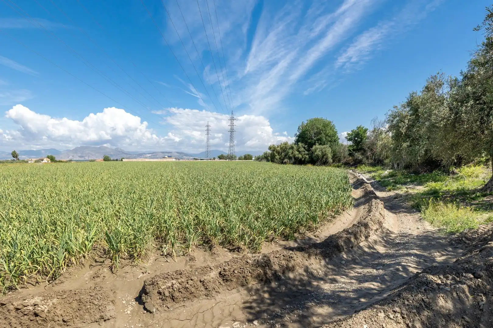 Terreni e lotti in vendita a Ramal del Río, imagen 11