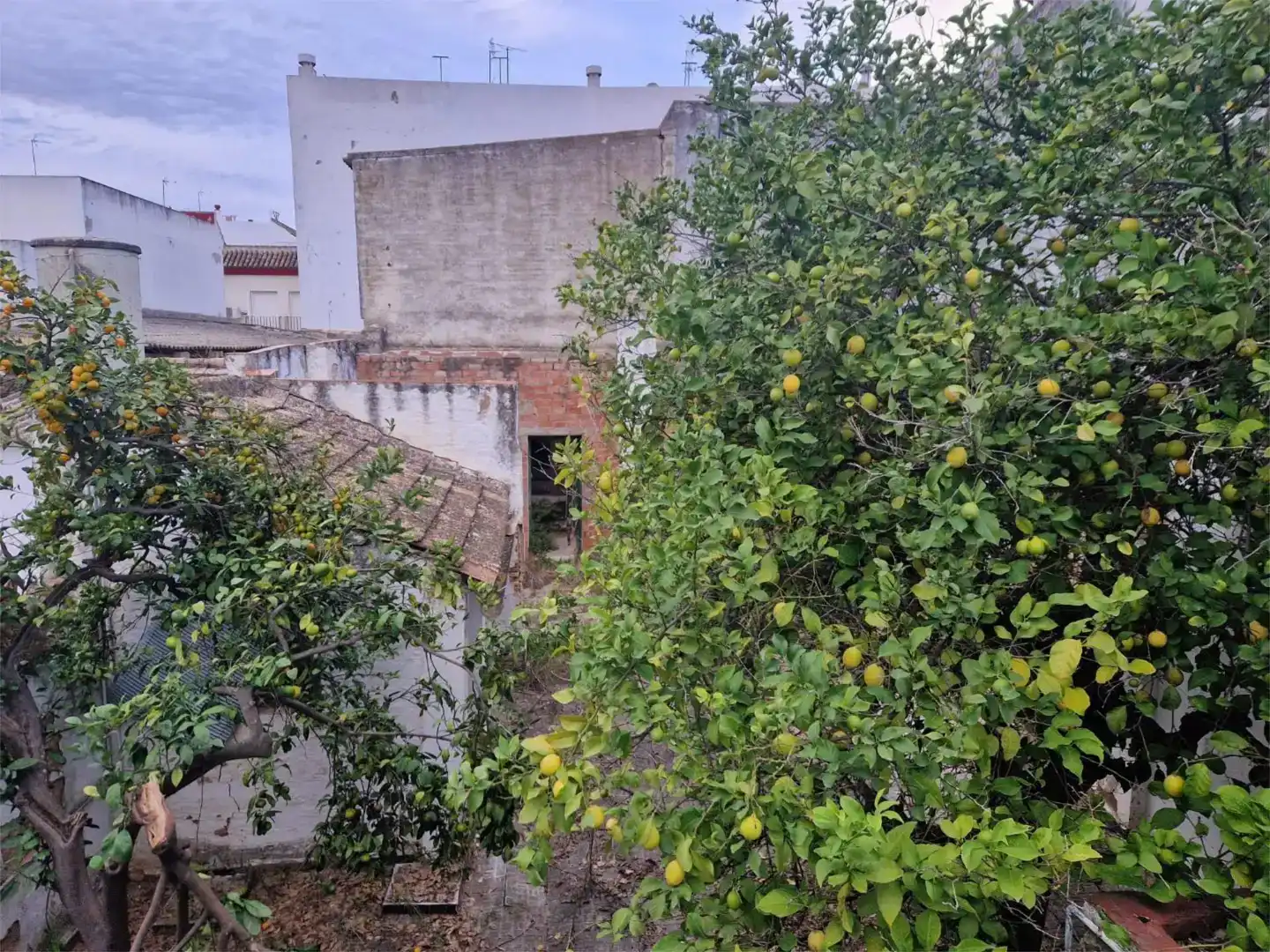 Land for sale in Gines