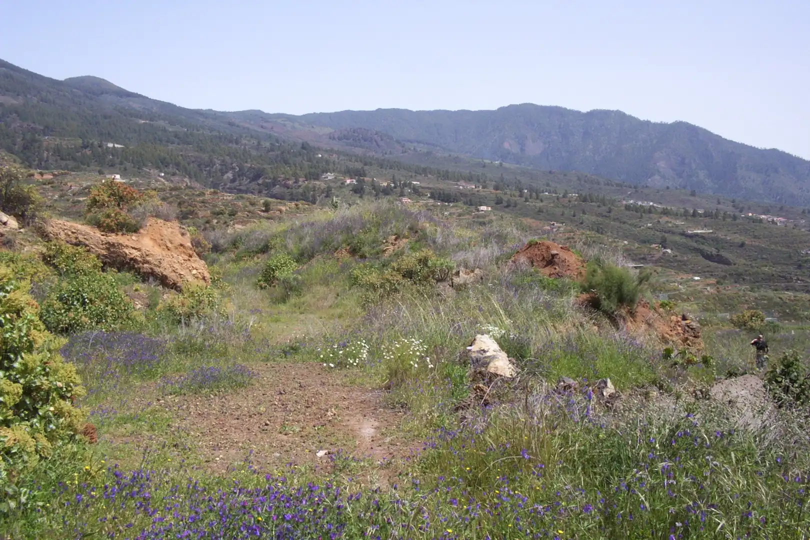 Rural land for sale in Calle Galván, imagen 13