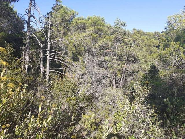 Terreno residencial en Venta en Ample, 13-15 en Mont-ral