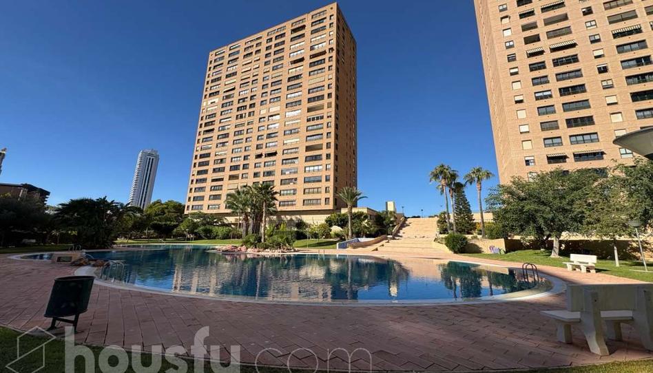 Photo 1 of Flat to rent in Avinguda Marina Alta, ., Playa Poniente, Alicante