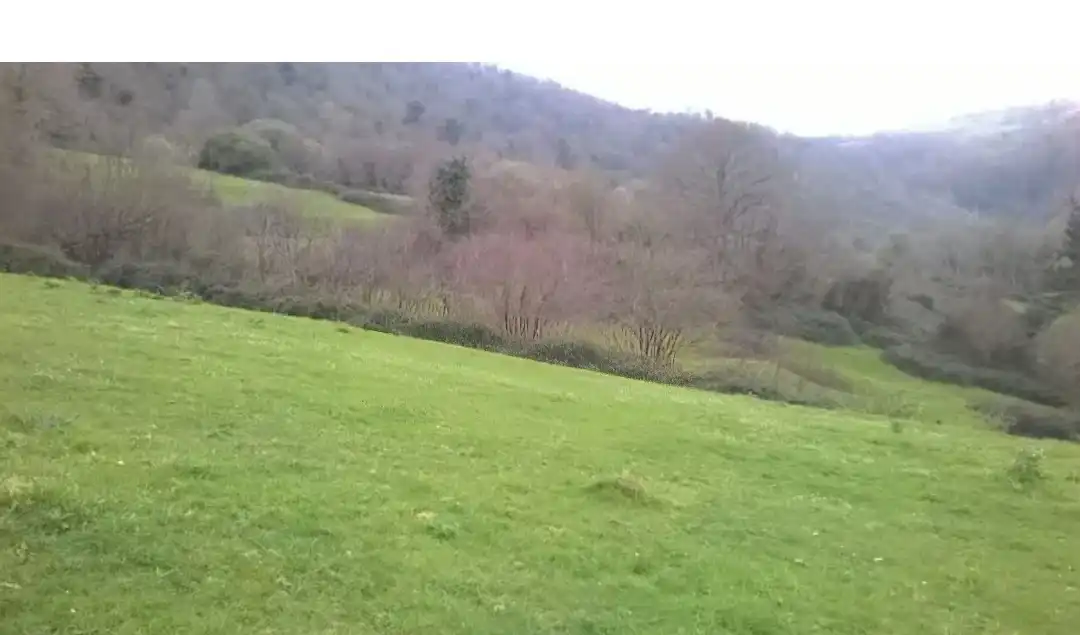 Terreni e lotti in vendita a Corvera de Toranzo, imagen 7