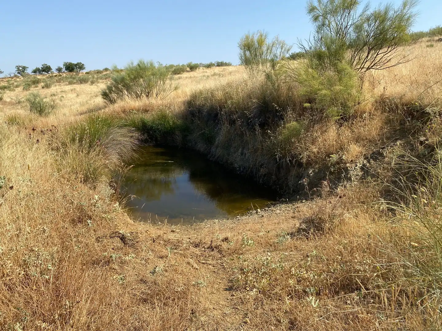 Grundstücke zum Verkauf in Aldeanueva de San Bartolomé