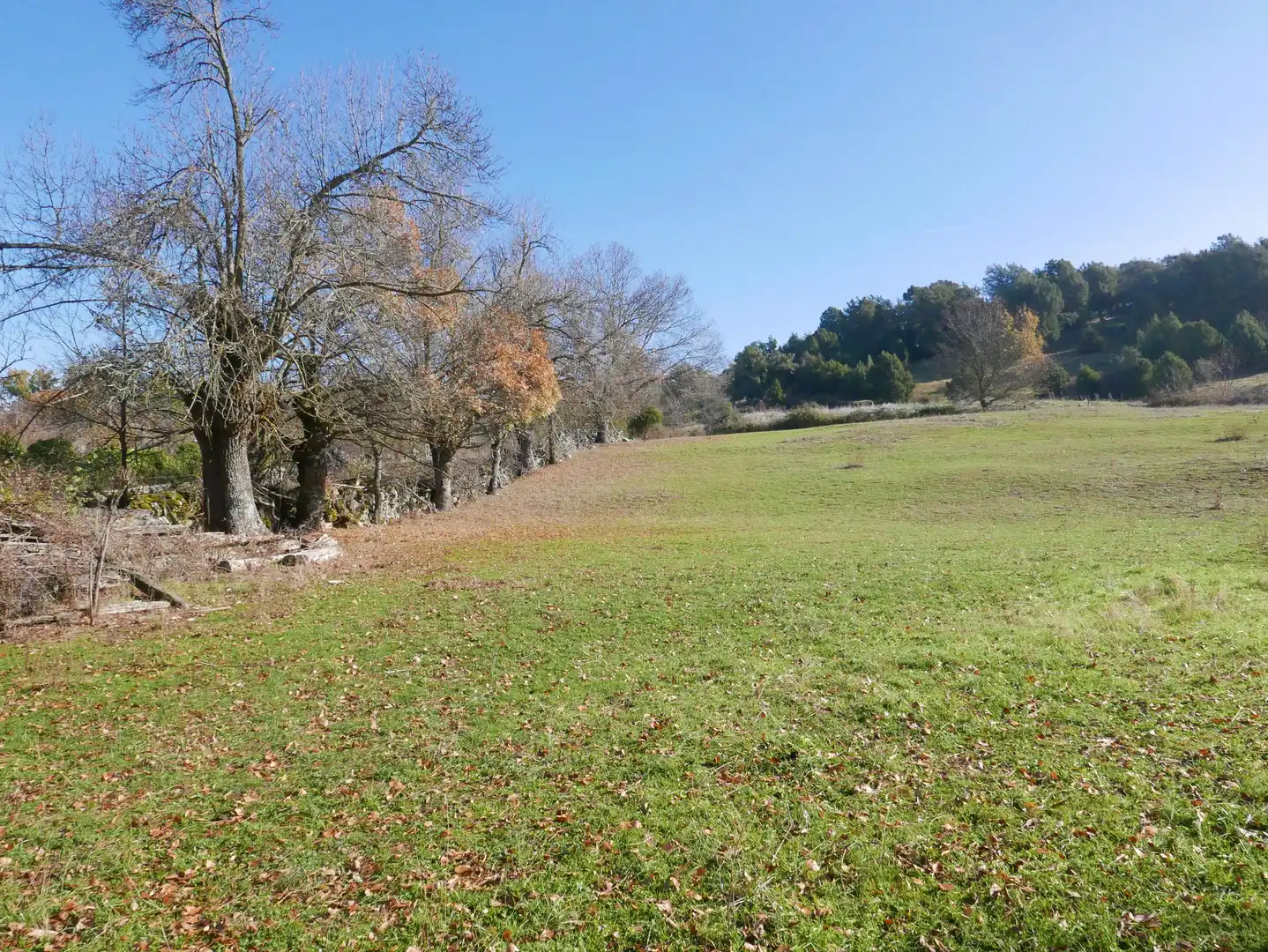 Land for sale in Santo Tomé del Puerto