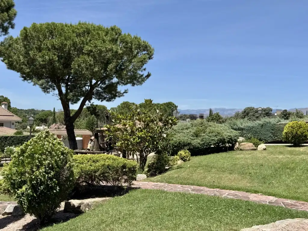 Jardín de Casa o chalet en venta en Algete