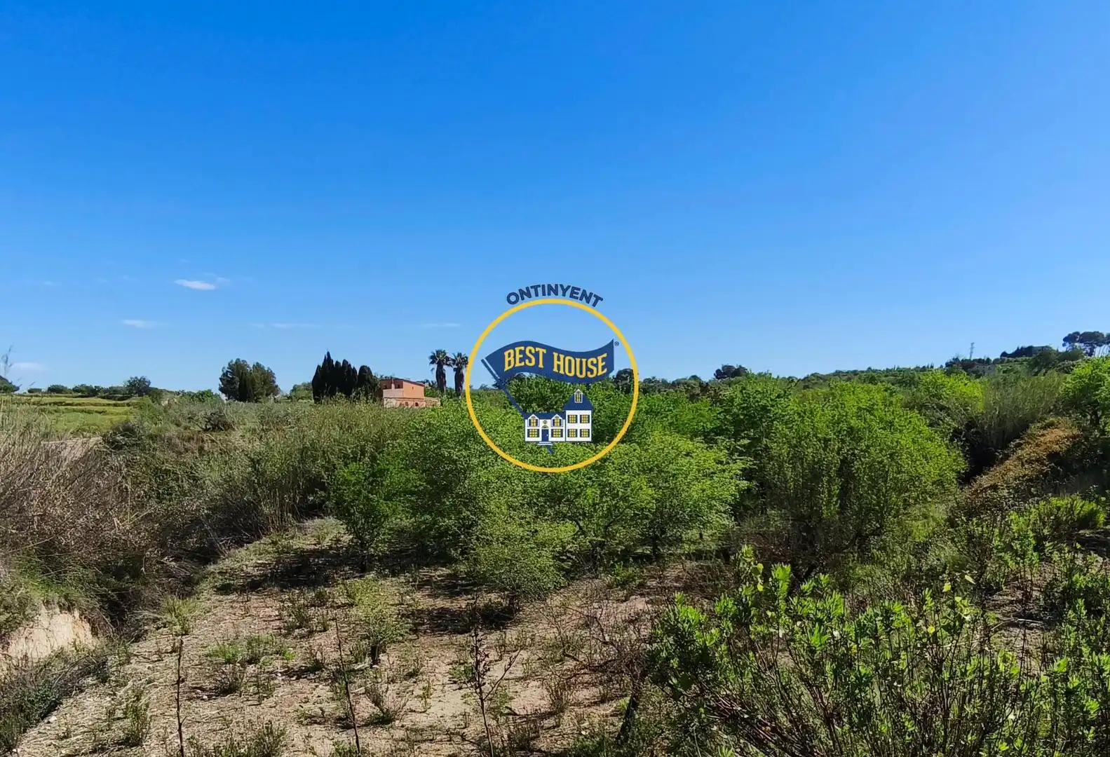 Terreno rustico in vendita a Albaida, imagen 5