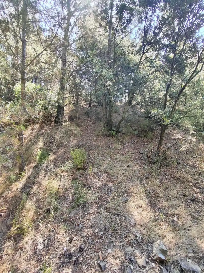 Terreny residencial en venda a T-704 2, imagen 11