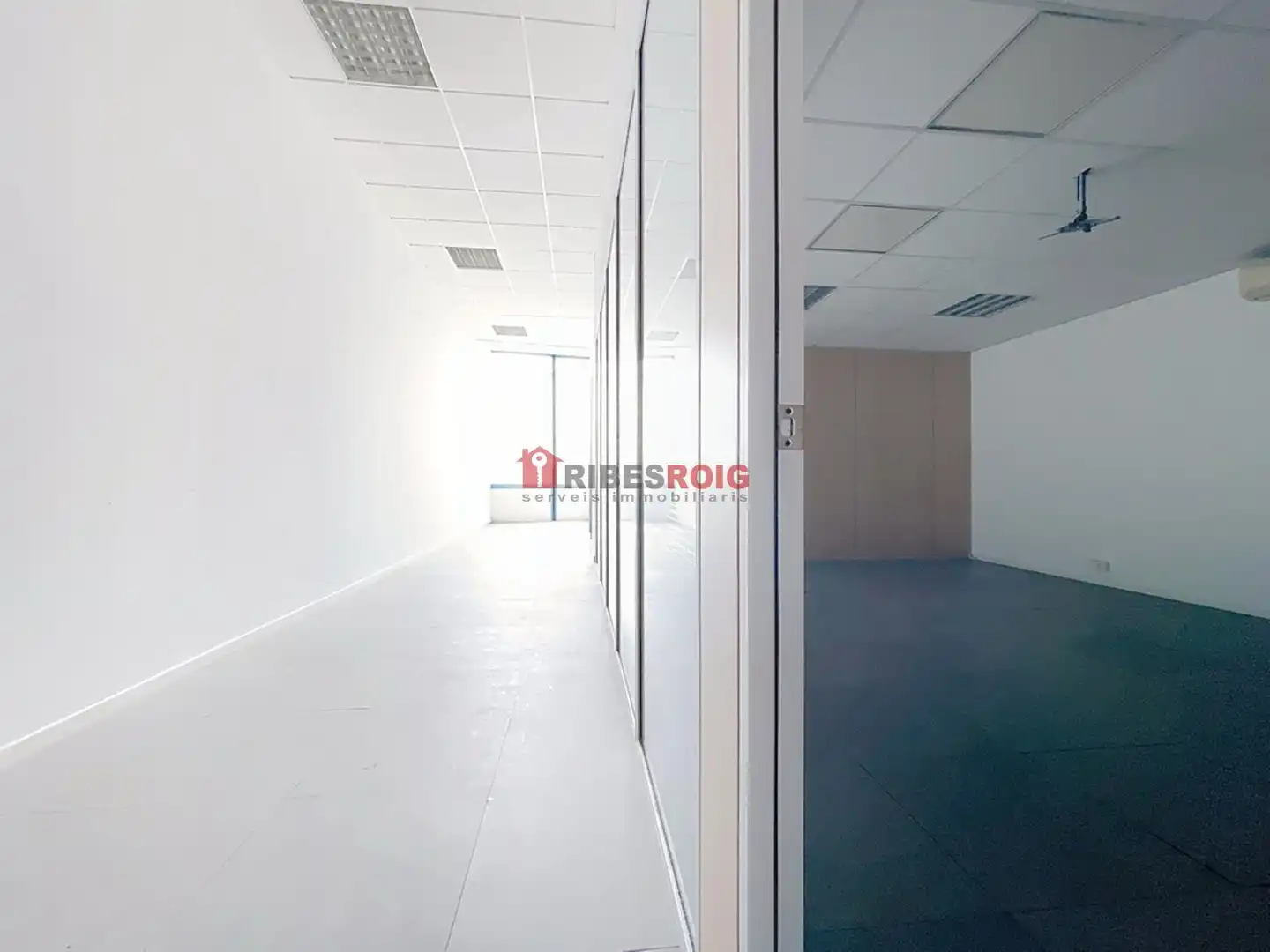 Bureau avec ascenseur à vendre à Europa, imagen 8