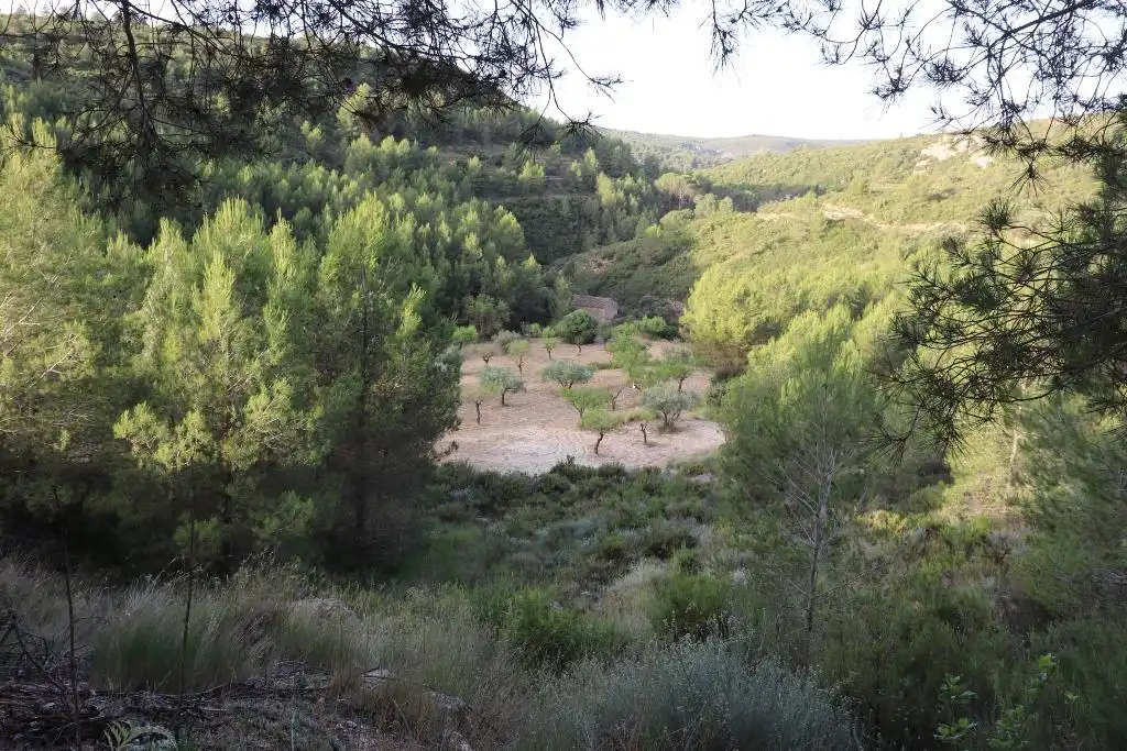 Finca rústica en venda en Buñol amb Jardí privat, Terrassa i Traster