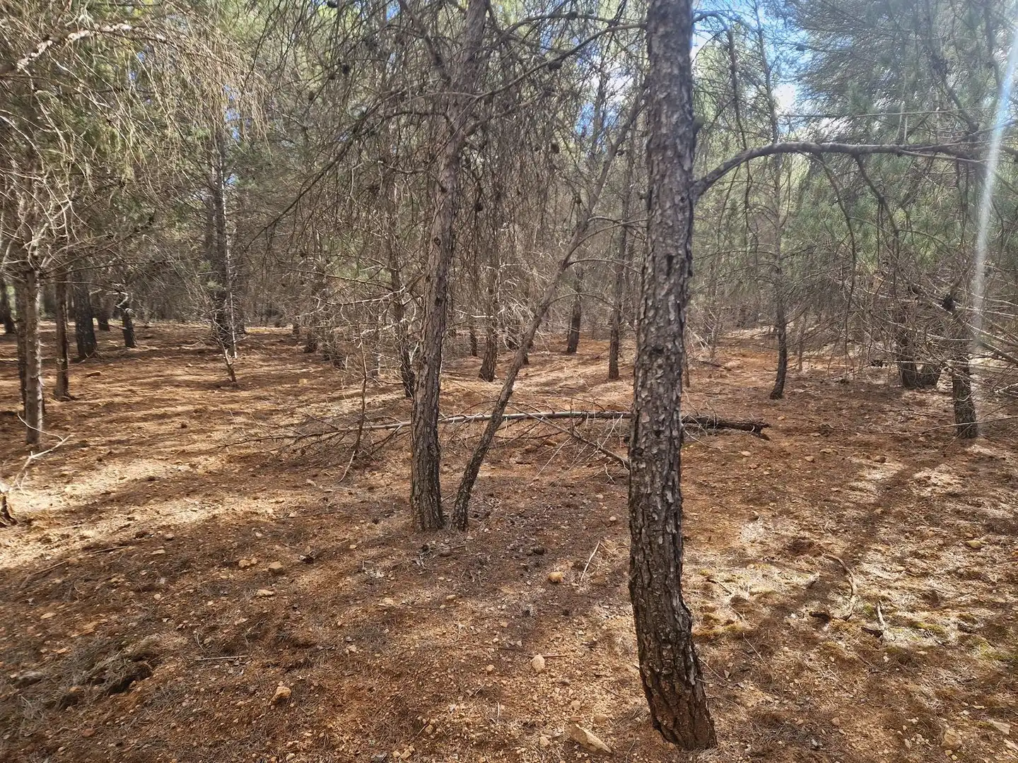 Rural land for sale in Pantano de Peñarroya 0, imagen 42