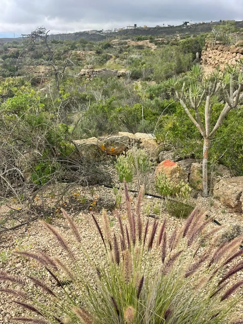 Terreno rustico in vendita a Arico, imagen 18