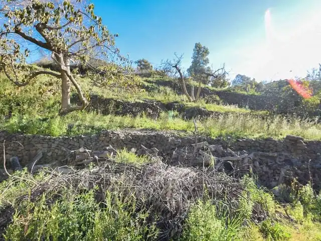 Terreni e lotti in vendita a Torrox Pueblo, imagen 7