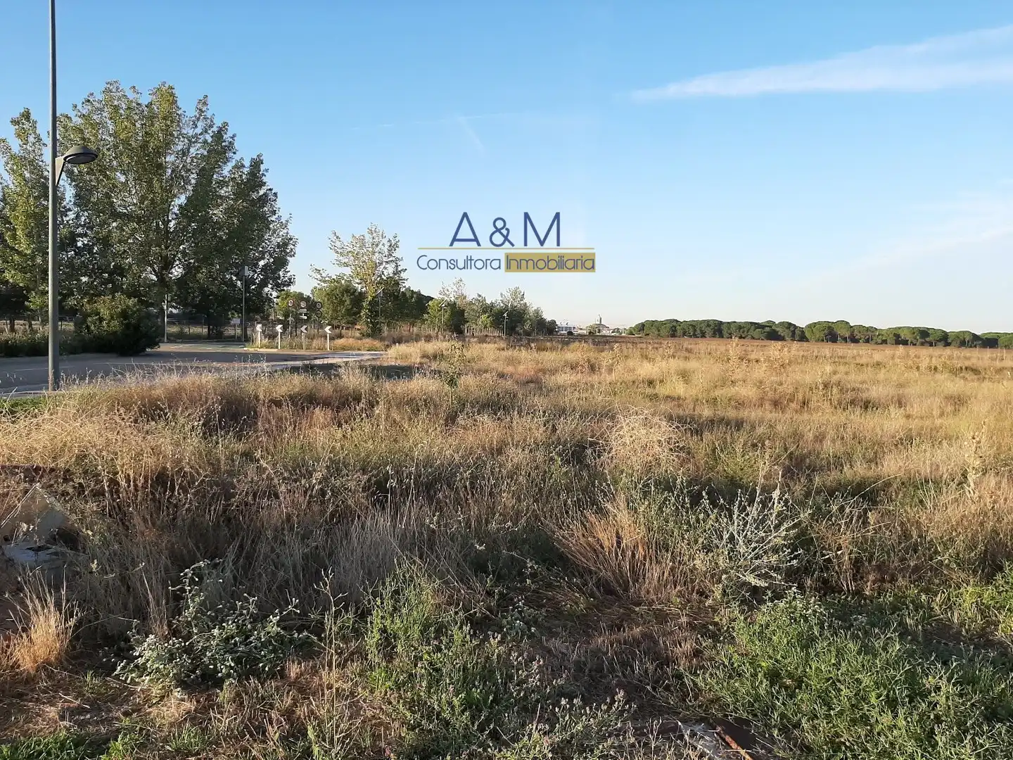 PARCELA EN EL SOTO DE ALDEAMAYOR, imatge 4