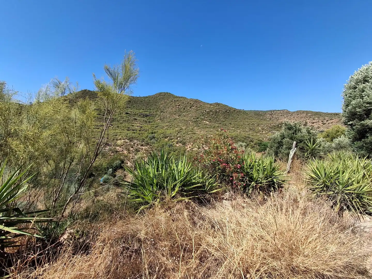 Finca rústica en venda en Riba-roja d'Ebre
