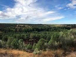 Residential for sale in Navas de Oro