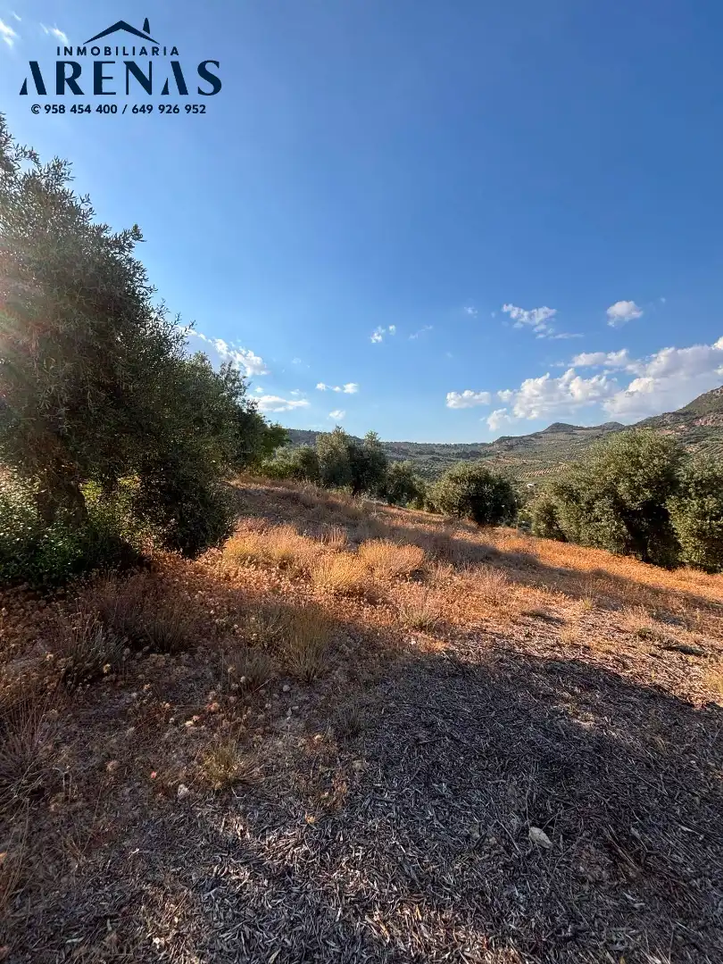 Rustikales Grundstück zum Verkauf in Carretera Montefrío