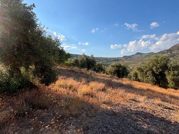 Terrain rustique à vendre à Carretera Montefrío