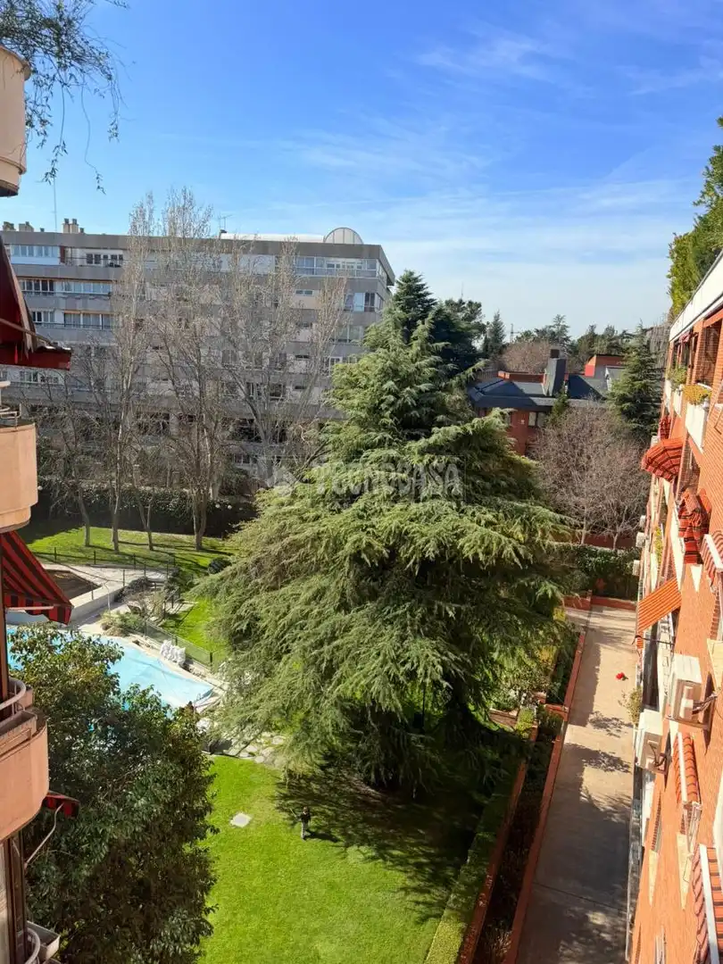 Pis amb piscina en venda a Calle San Martín de Porres, imagen 36