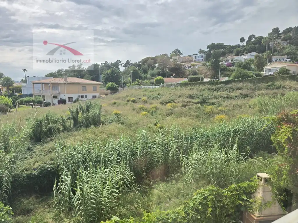 Maison à vendre à Roca Grossa, imagen 17