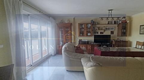 Photo 4 of House or chalet for sale in Los Molinos, Alcalá de Guadaira