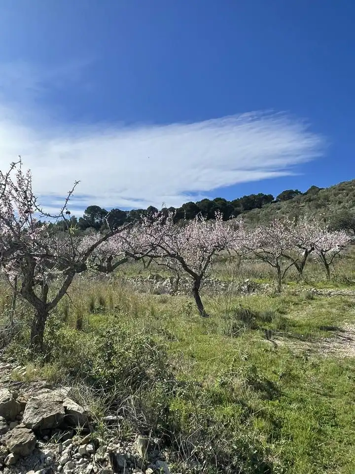 Finca rústica en venta en L'Ametlla de Mar 