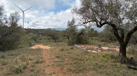 Foto 2 de Terreny en venda a Zn Diseminats, 35, El Perelló, Tarragona