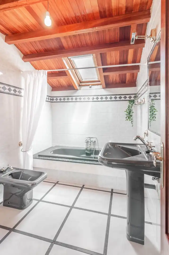 House with terrace for sale in Carretera DE PIÑERA A SAN CRISTOBAL 2354, imagen 32