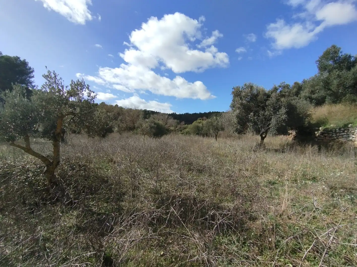 Terreni e lotti in vendita a Lledó, imagen 7