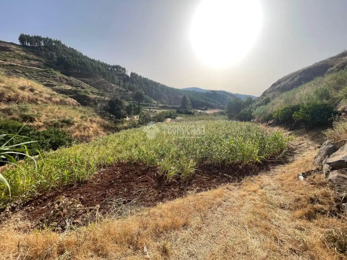 Terreno en venta en Gáldar