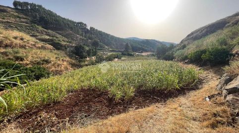 Foto 3 de Terreno en venta en Calle Gc-702, Saucillo - Fagajesto - Juncalillo, Gáldar