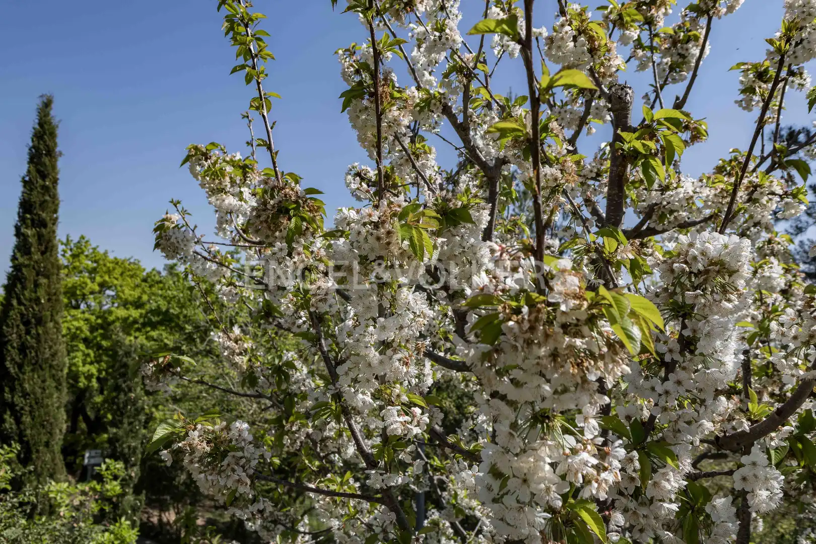 Maison avec jardin à vendre à Corbera de Llobregat, imagen 39
