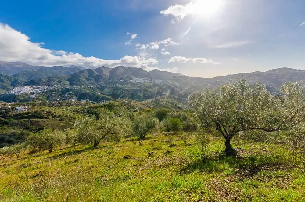 Terreno rustico in vendita a Árchez, imagen 8
