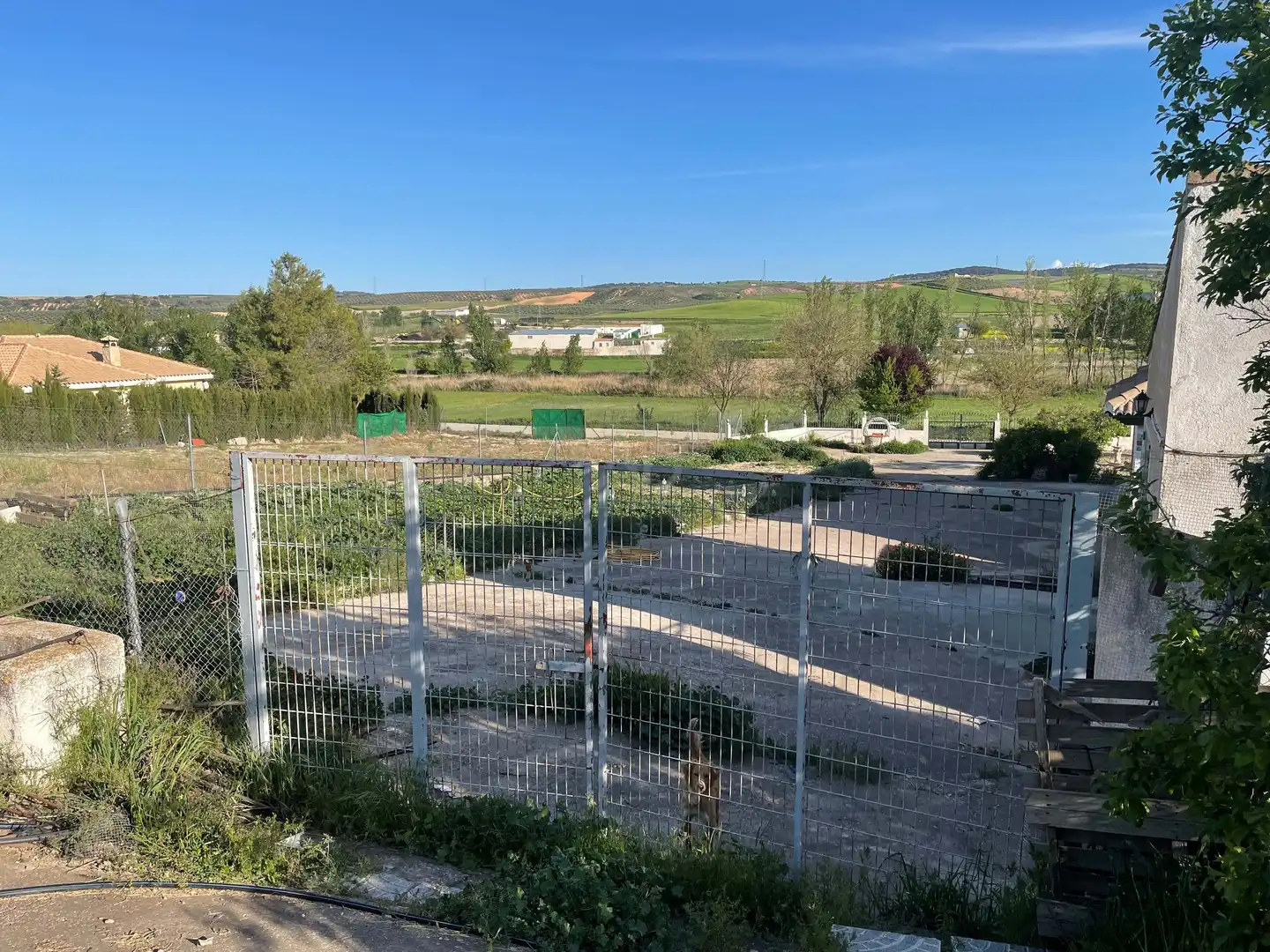 Finca rústica en venta en Montejícar